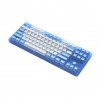 ban-phim-co-akko-acr87-blue-hotswap/rgb/akko-cs-sw-jelly-blue - ảnh nhỏ 3